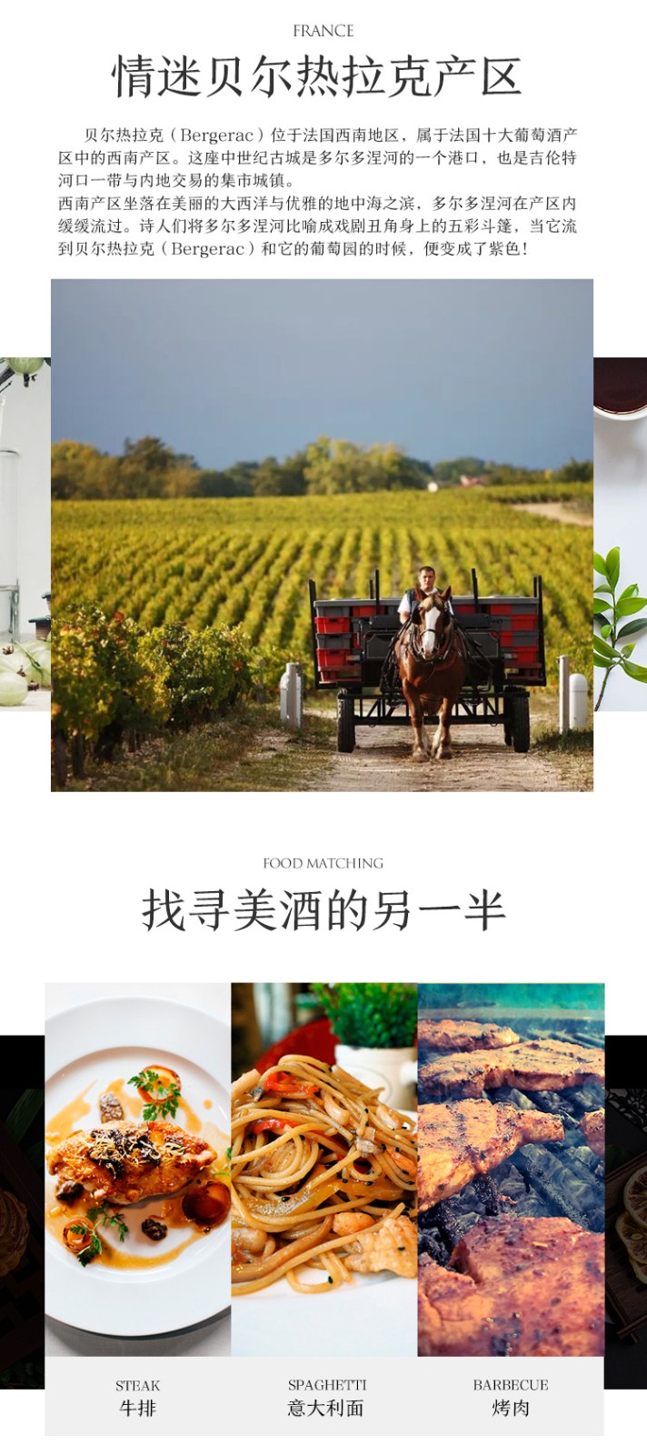 【抱金猪过大年】法国进口大金猪干红葡萄酒750ml*6  整箱装